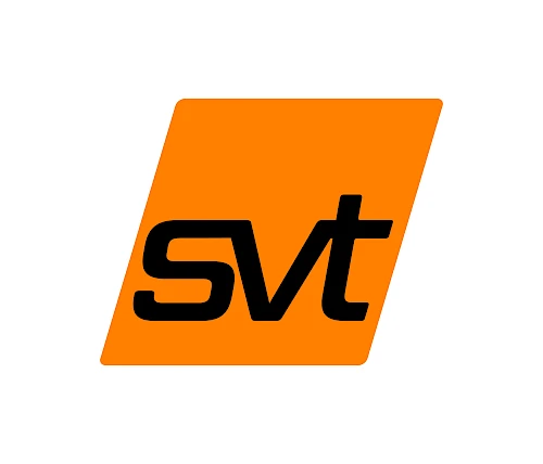 svt Schadensanierung GmbH, Plauen